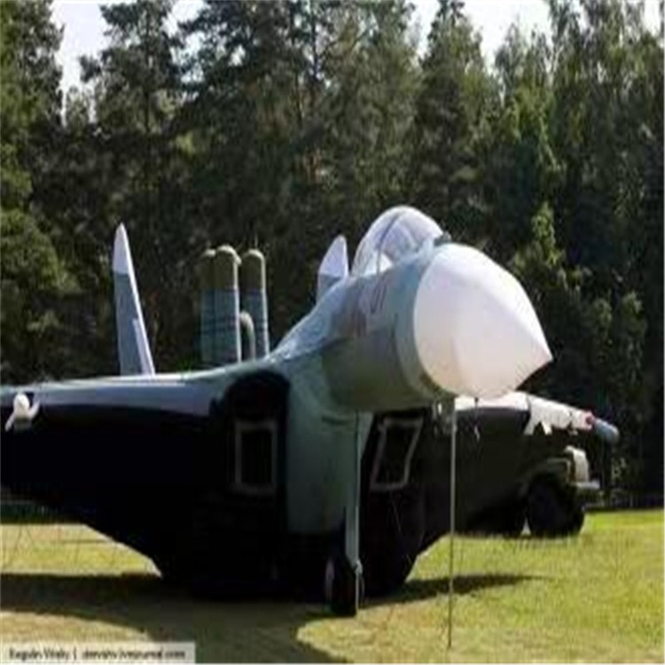 佛山充气模型飞机制造商家